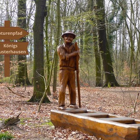 Relaxrefugium Luxus - Kueche, Arbeitsplaetze, Stellplatz & Komfort Fuer Bis 6 Gaeste Königs Wusterhausen Exteriér fotografie